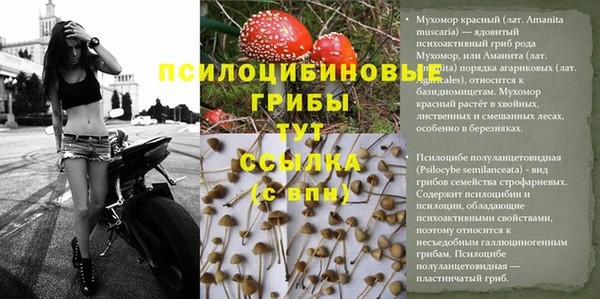 MDMA Premium VHQ Осташков