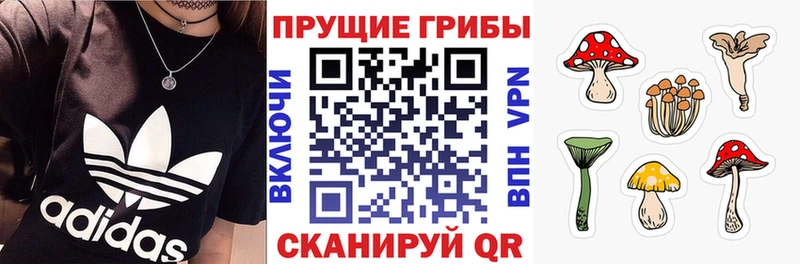 Галлюциногенные грибы Psilocybe  Купить где  Поворино 