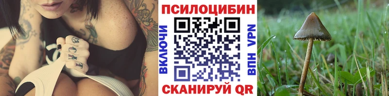 Галлюциногенные грибы прущие грибы Поворино